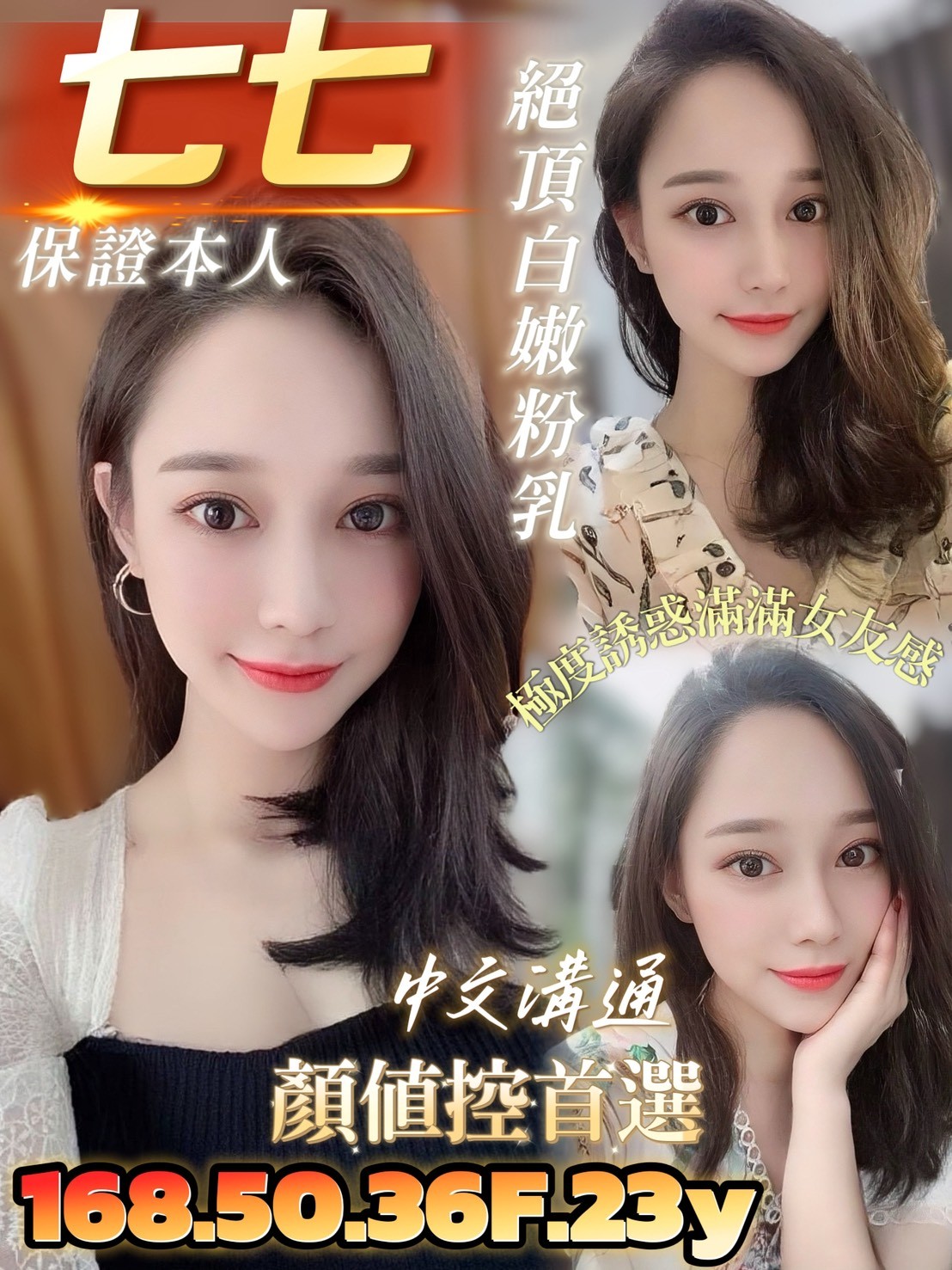 善化定點 越南